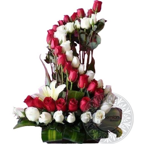 Special design arrangement