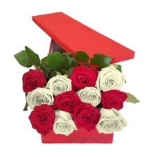 12 red and white roses in gift box