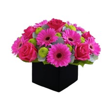 Fuchsia gerberas and roses in cube (Basic)