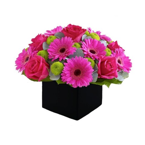 Fuchsia gerberas and roses in cube (Basic)
