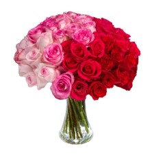 Bouquet of 48 gorgeous roses