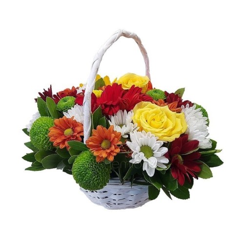 Funky Basket (Basic)