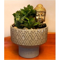 Ceramic pot with Buddha and succulent