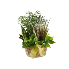 Nature's Garden arrangement (Basic)