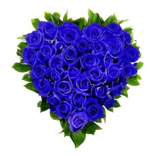 Blue roses heart