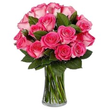 Romantic fuchsia roses (Basic)