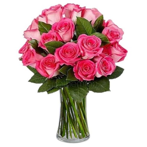 Romantic fuchsia roses (Basic)