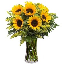 Stunning Sunflowers | VASE IS NOT INCLUDED