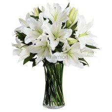 Impressive bouquet of white Lilies (Basic)