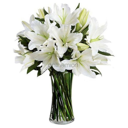 Impressive bouquet of white Lilies (Basic)