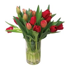15 Fresh tulips | WITHOUT VASE