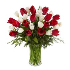 White and red tulips for perfect love | WITHOUT VASE