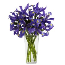 Blue irises in a bouquet (Basic)