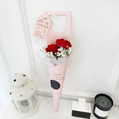 Mothers Day Promotion 01