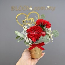 Mother's Day Promotion 03