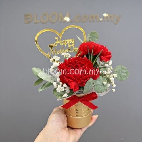 Mother's Day Promotion 03