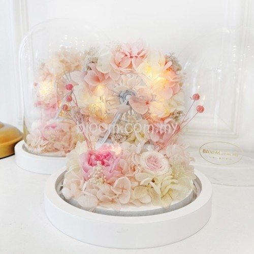 Preserved Flowers 01