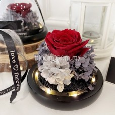 Valentine Preserved Flower 03