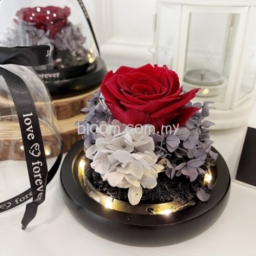 Valentine Preserved Flower 03