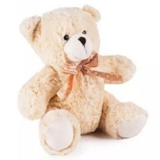 Teddy Bear Teddy Bear