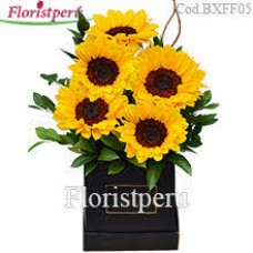 Box with 5 Sunflowers