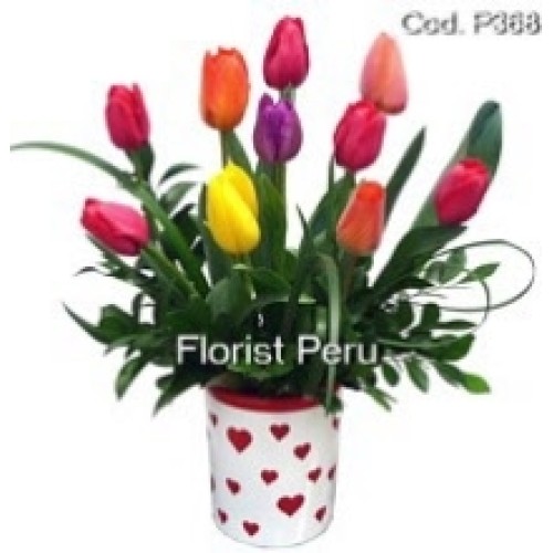 My heart Valentine - 10 tulips