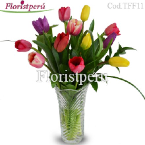 Bruselas Model, 12 tulips