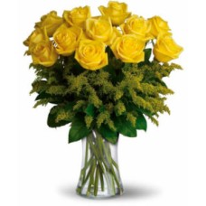 12 Yellow Roses (DELUXE)