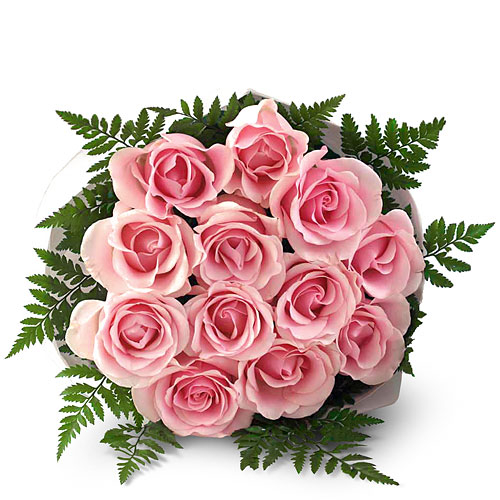 Baby Rose (Base)