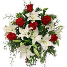 Candida Passione (Medium)