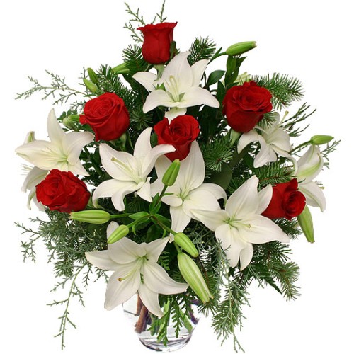 Candida Passione (Medium)