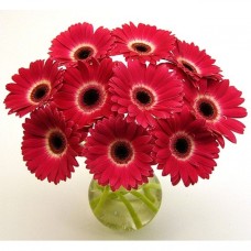 Red Love