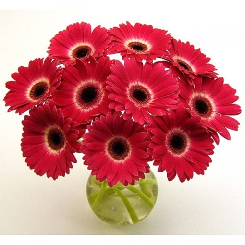 Red Love