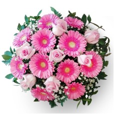 Allegro Pink (DELUXE)