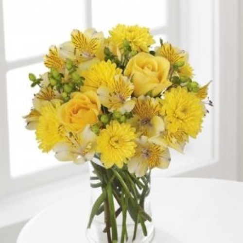 Freesia (BASIC)