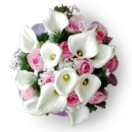 Calla Precious (SPECIAL)