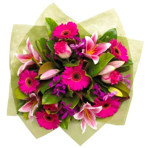 Divinely Fuxia (SPECIAL)