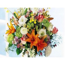 Mixed Color (DELUXE)