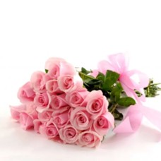 Powder Rose (DELUXE)