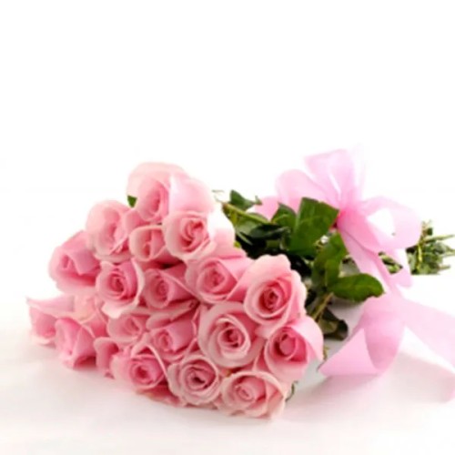 Powder Rose (SPECIAL)