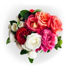 Rosas Wind (DELUXE)