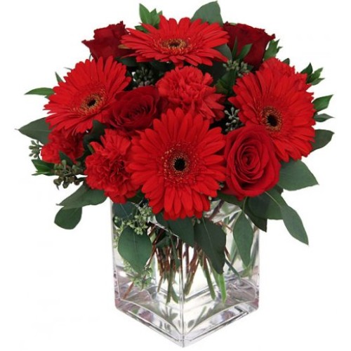 Red charm