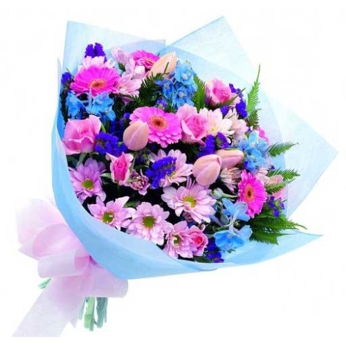 clear dawn (SPECIAL)
