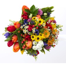 Cheerfulness (BASIC)