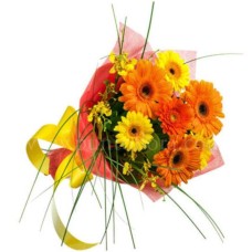 Gerbera escape (BASIC)