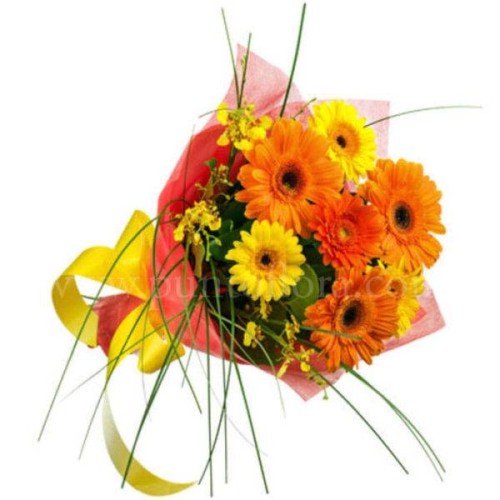 Gerbera escape (BASIC)