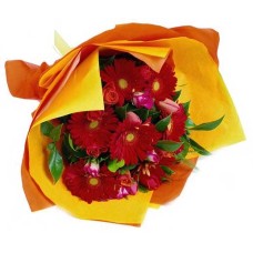 Gerbera Bouquet (Base)