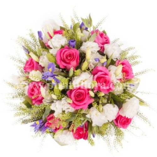 For You (BASIC)