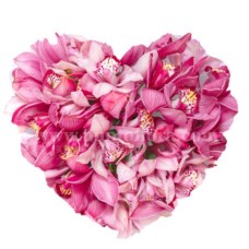 Heart of Orchids (BASIC)