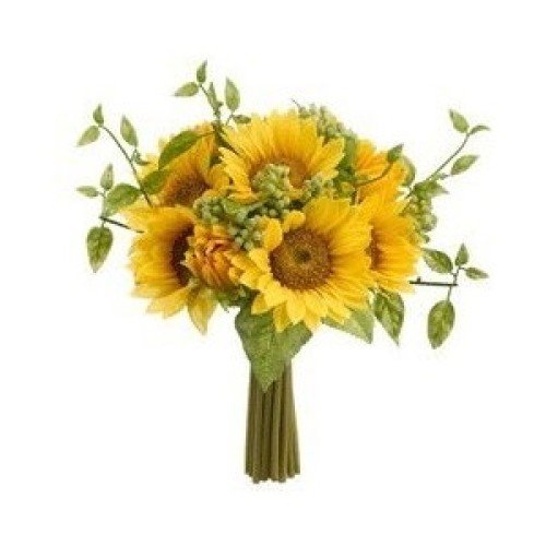 Sunflower (BASIC)
